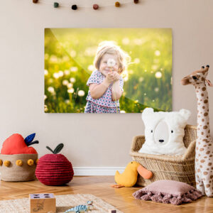Metal Wall Printing